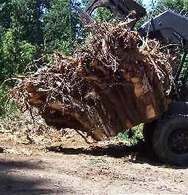 Milwaukee Site Clearing and Hauling Services Wisconsin